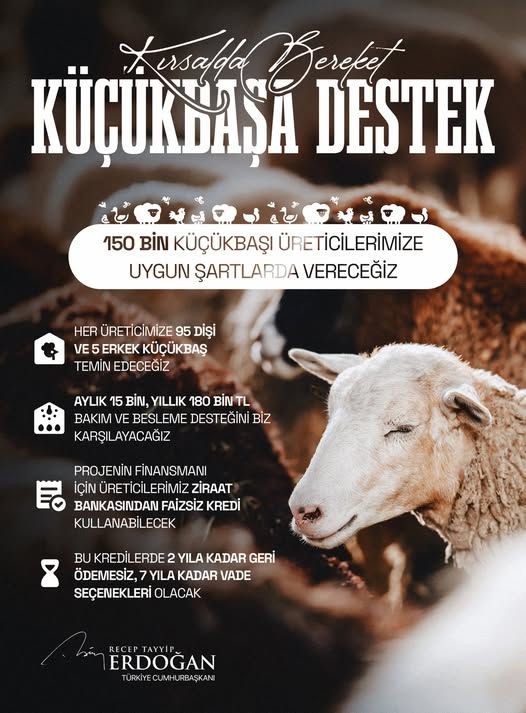 641428789 1454588702702845 9045685214347703305 N