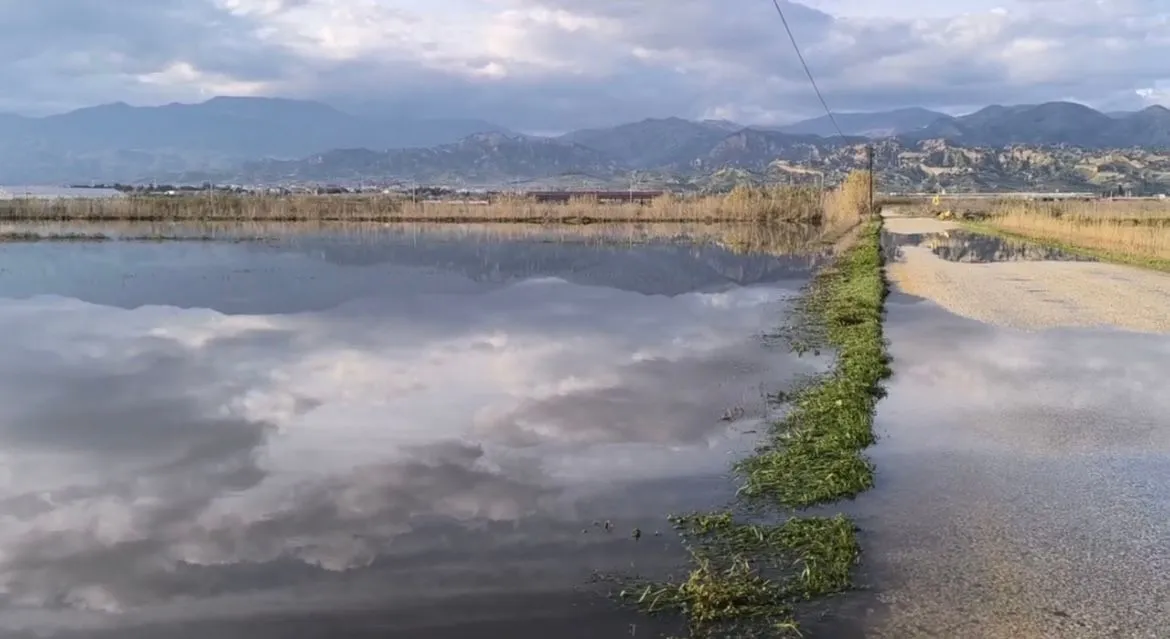 Chpli Karakozdan Iktidara Cagri Aydin Afet Bolgesi Ilan Edilmeli 641280 8F0Cae5C314E9E1D5Ad3D3D500Ee5F92