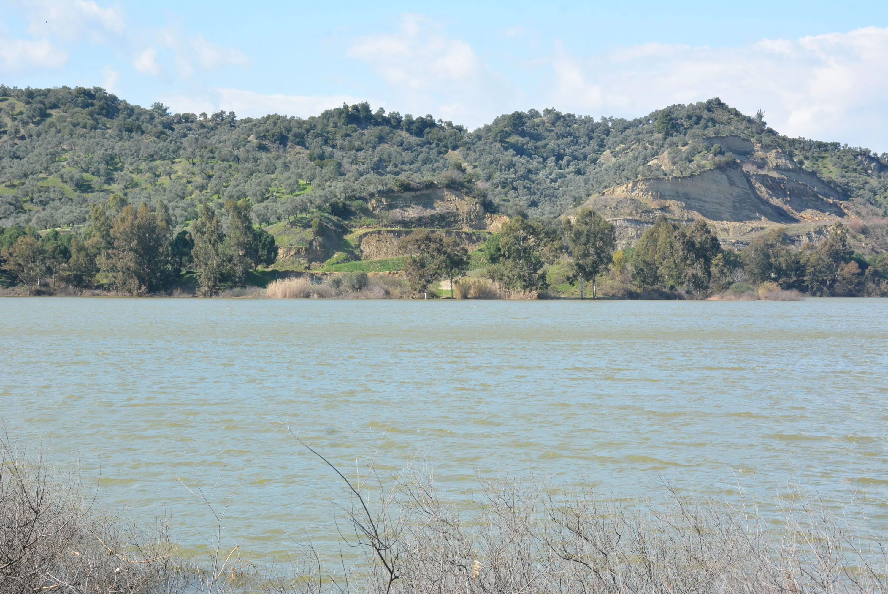 Germencik Hidirbeyli Goleti Yuzleri Guldurdu 642777 C8027401B2092Dfa1D2C831C78Cb9Fc9