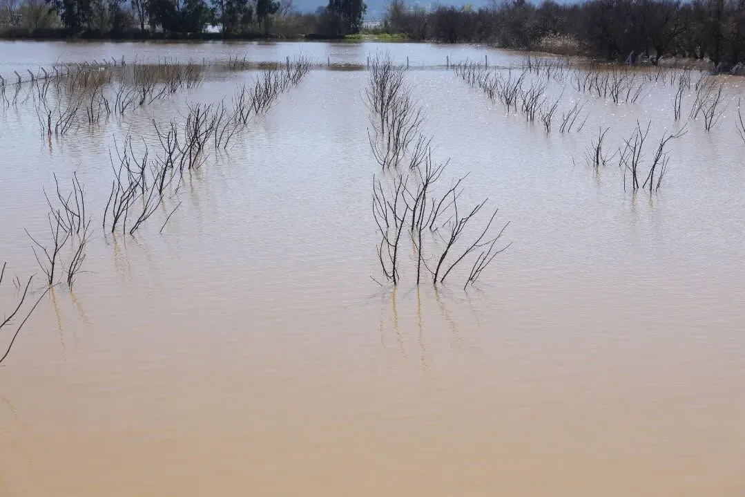 Incirliovada Zarar Gozler Onune Cikti 640634 39A6Ac6B92Fdc16Eb40Adb1F3855Ce57