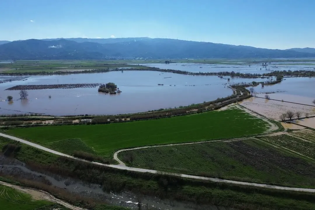 Incirliovada Zarar Gozler Onune Cikti 640634 D8Faeda77Bdca240Cc8Add969808415E