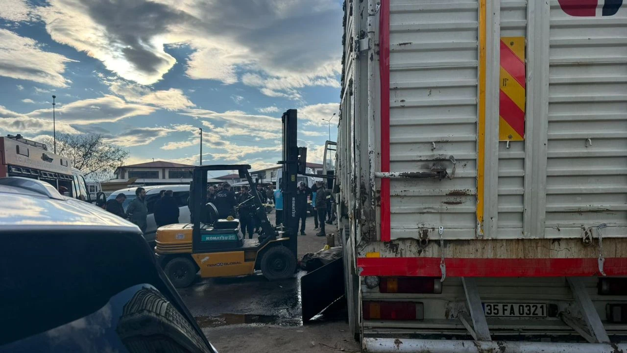 Whatsapp Image 2026 02 18 At 175643 1