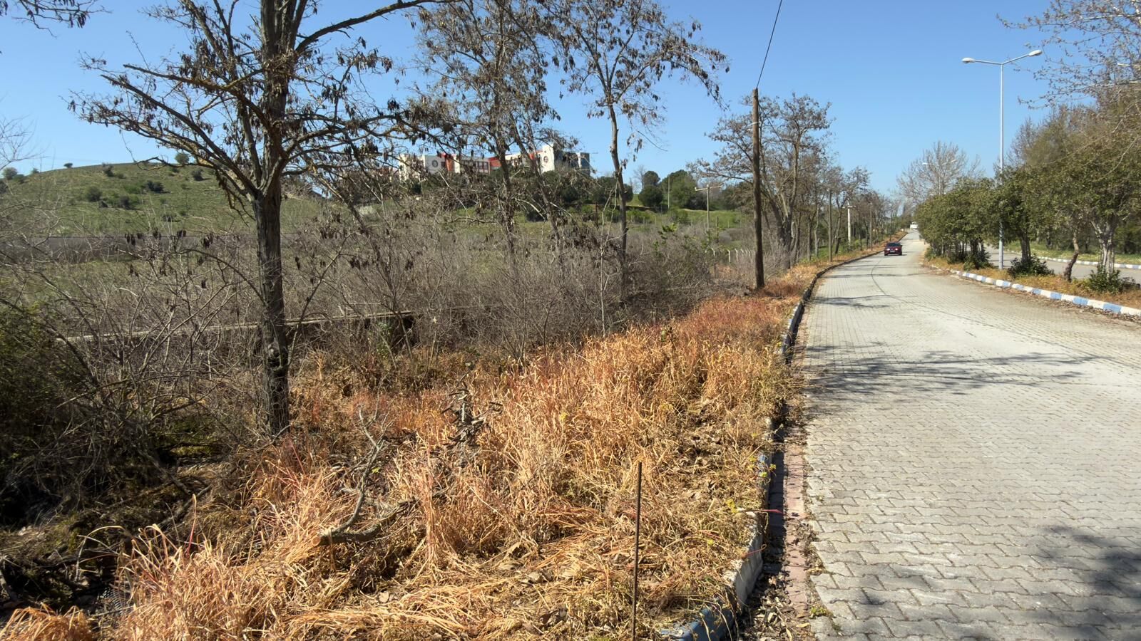 0D4F031F 05D2 4210 8Ed8 332Dbf2Ebf32