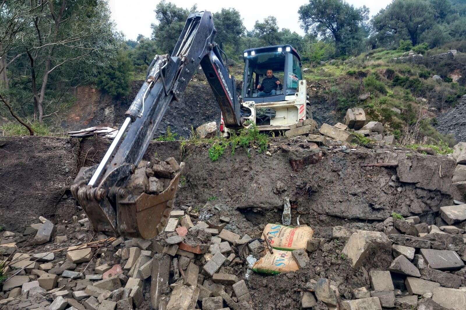 32D6B8F1 A14E 47D8 Bbf8 C01Eb4Fdf910