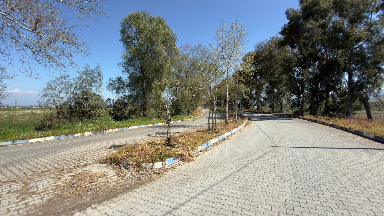 60F58E5F 648B 4558 A4B1 40Dc31703082