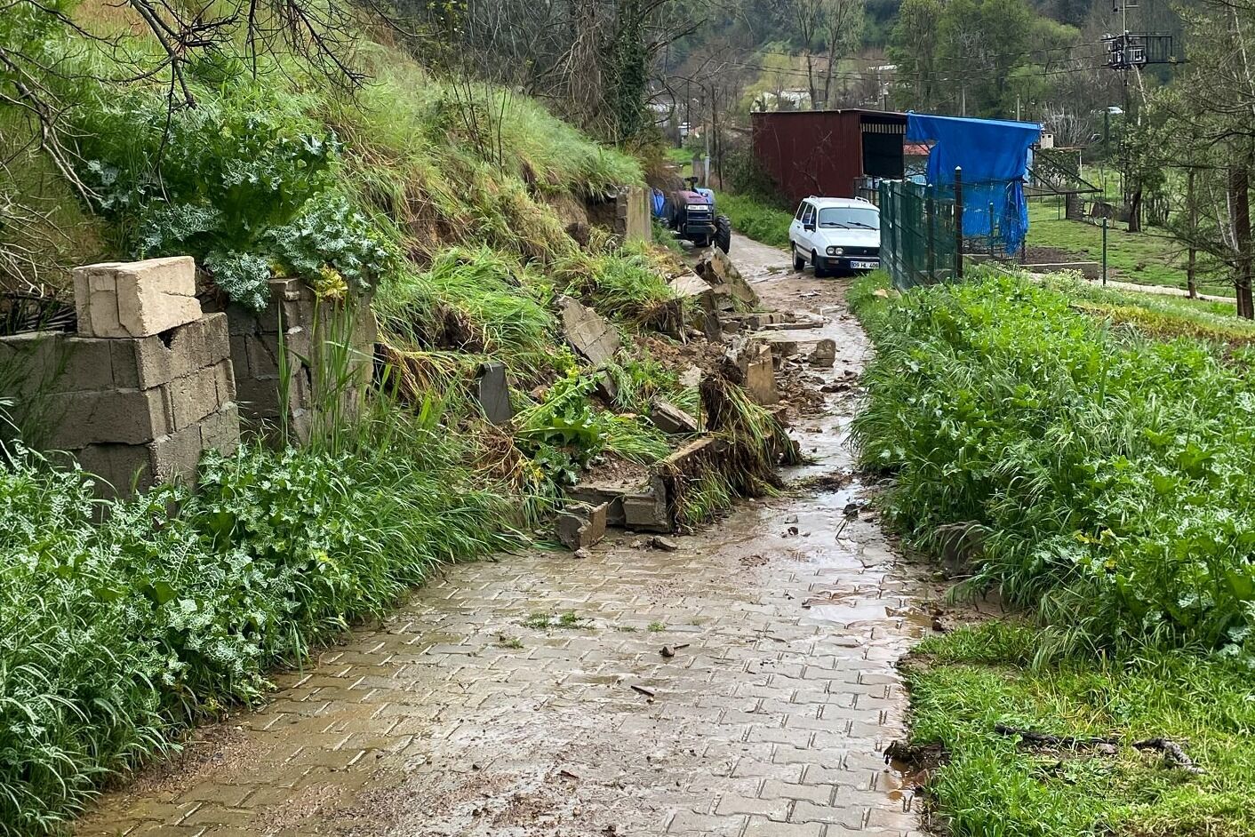 9C51Bba2 D753 45C2 Aa31 C7B3Cc3C11D8