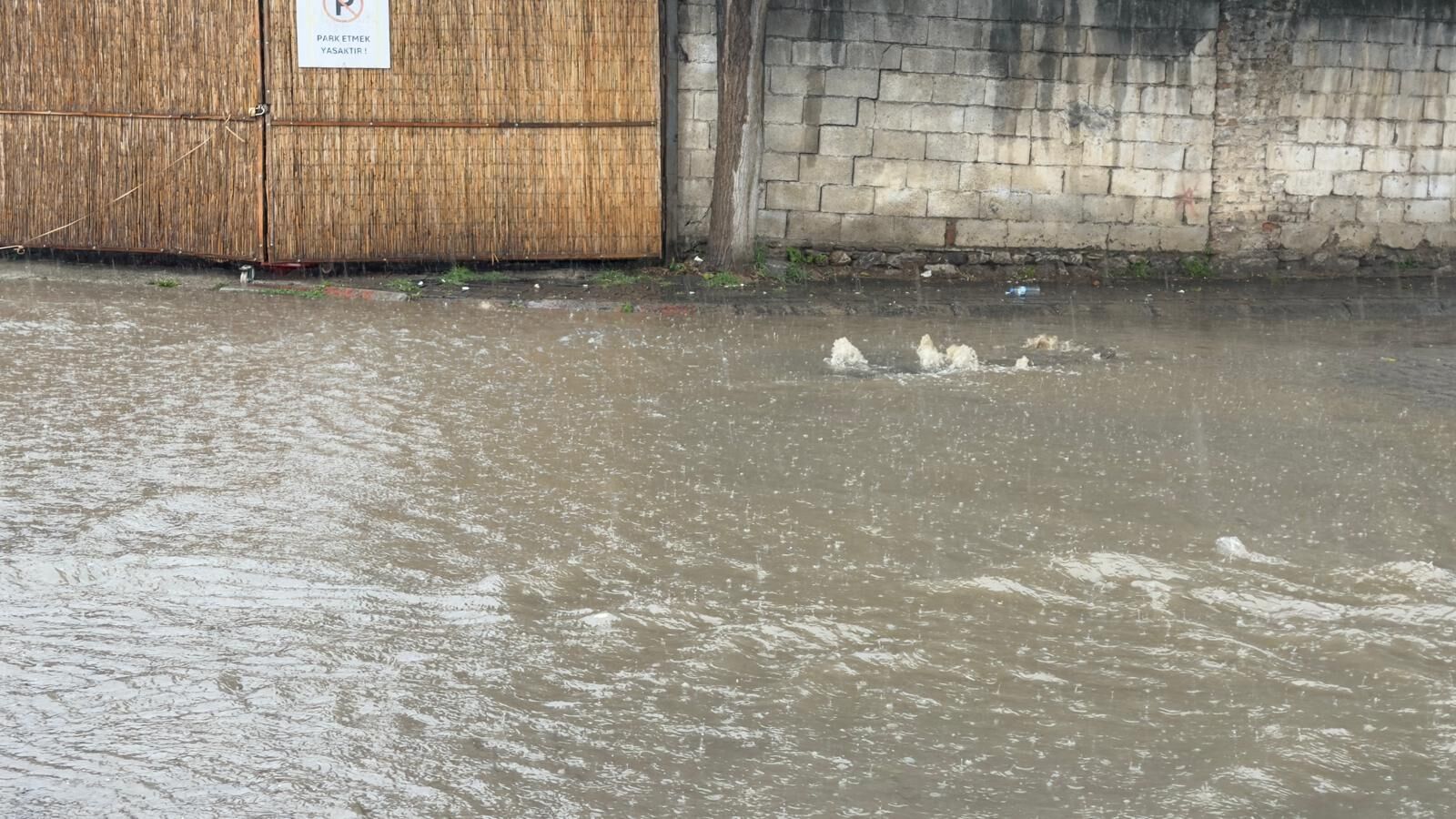 B0E2Ba89 0F83 460C Ad5E 3D4D5F4353Ce