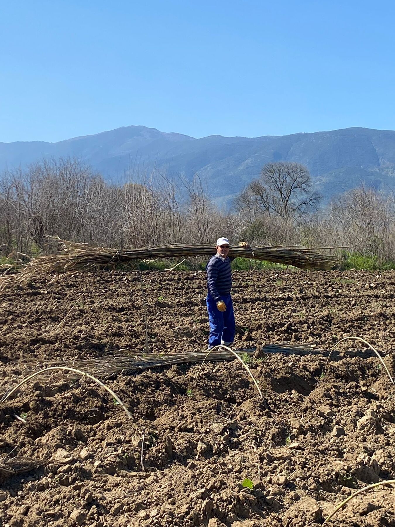 Surez Karpuzu Dikildi 645241 F2Bb0Ffee96A2Edaf30B65750Ffac7Cc