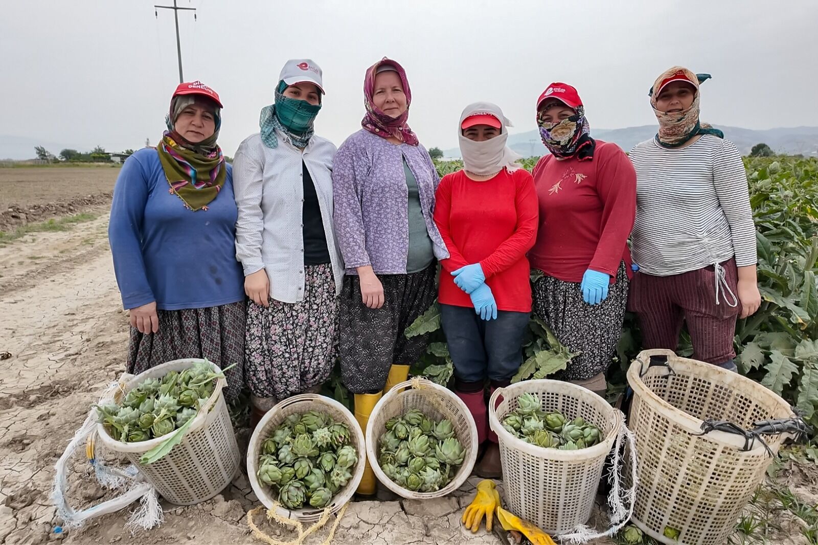 Whatsapp Image 2026 03 07 At 09.34.18