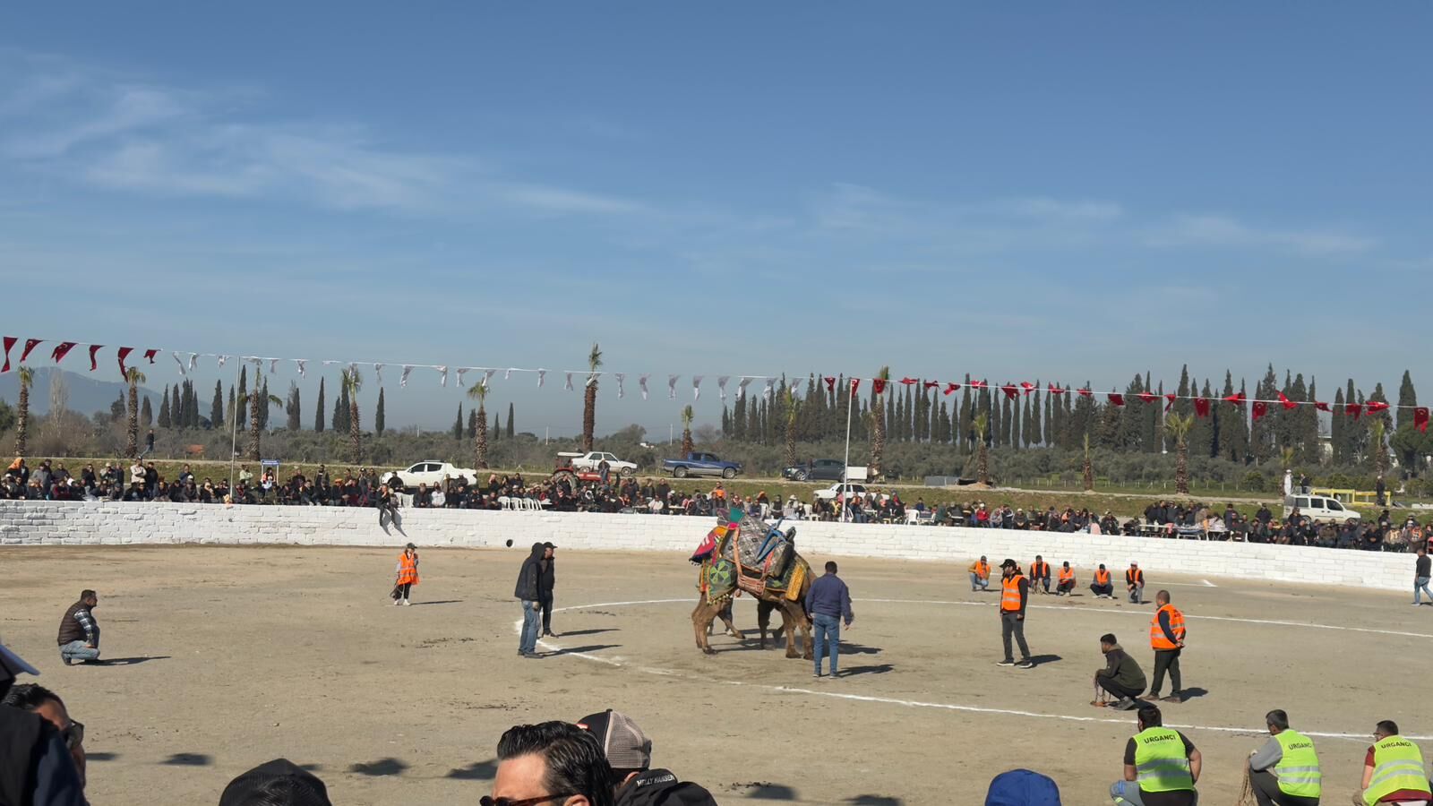 Whatsapp Image 2026 03 08 At 10.43.16 (1)