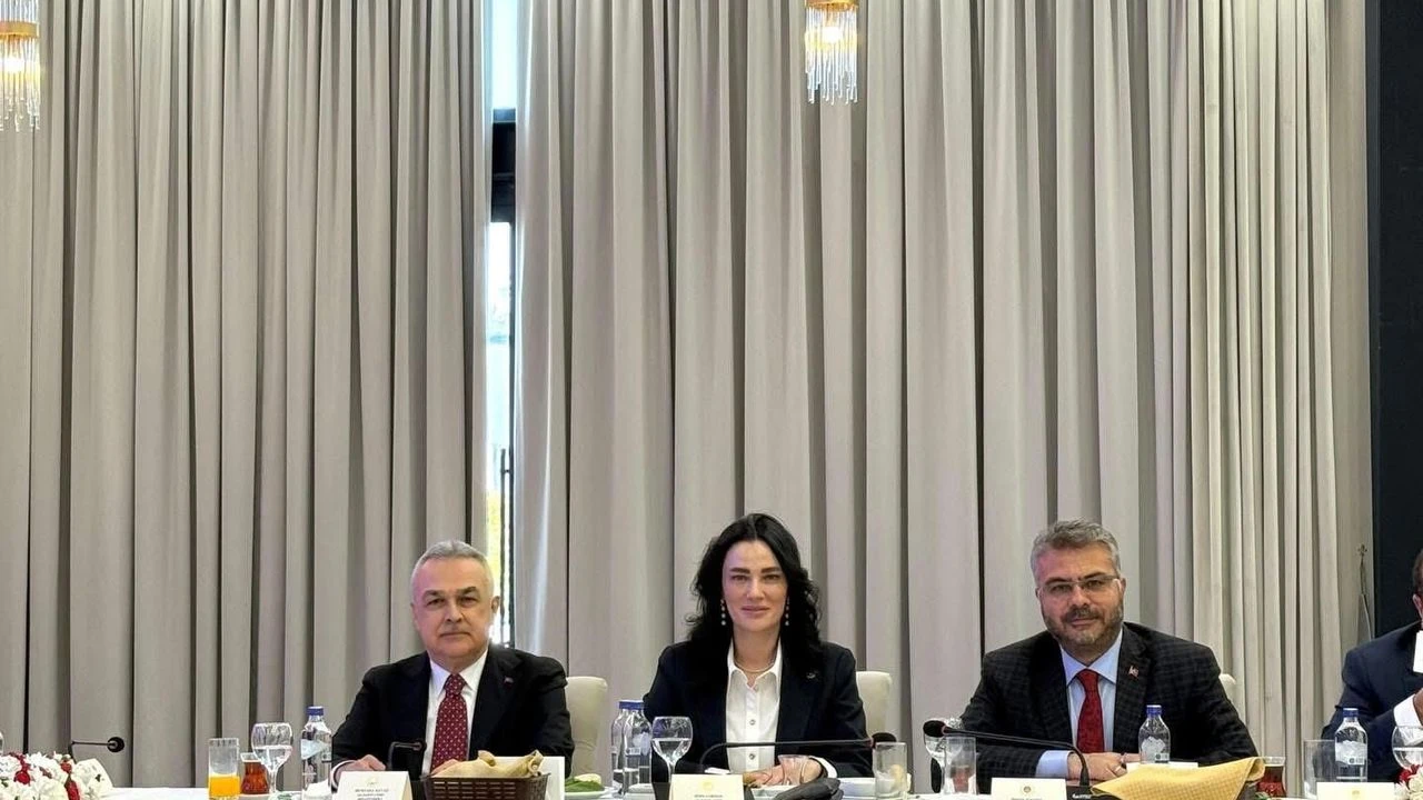 I M G 5725