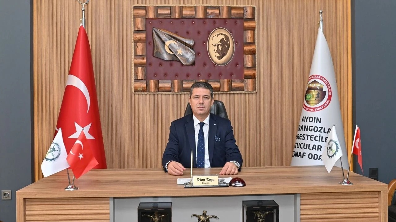 Aydın