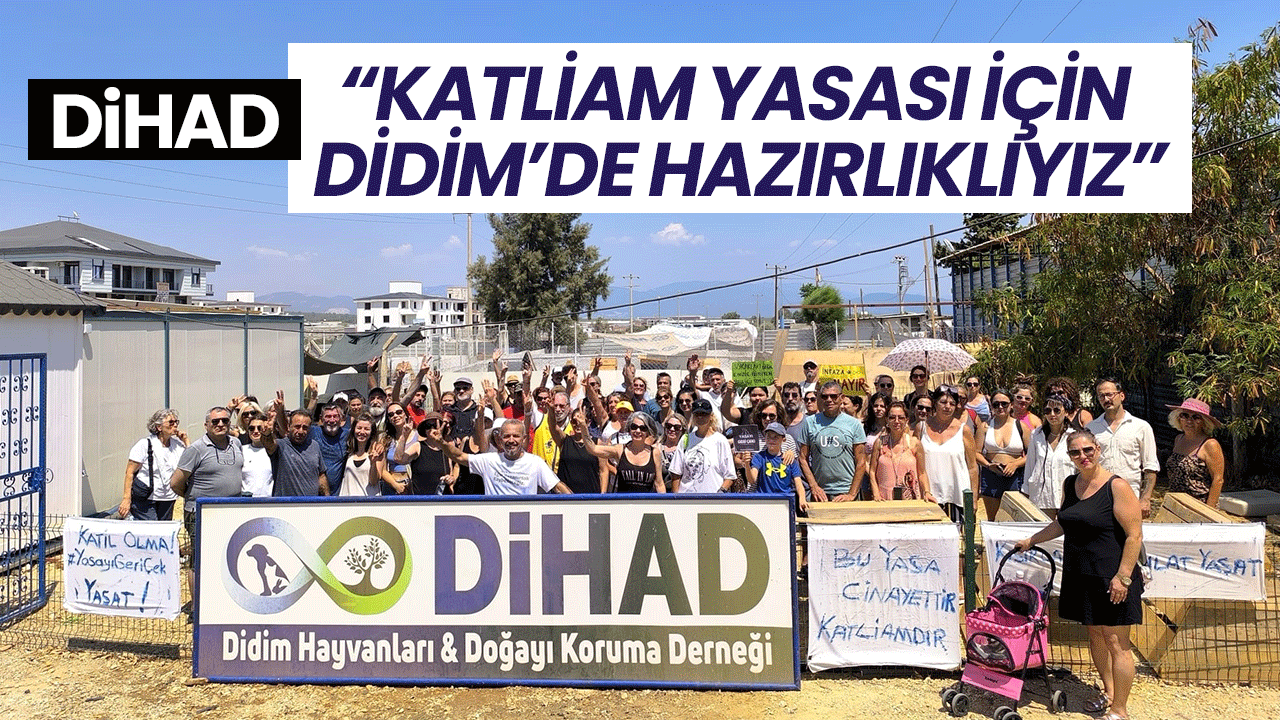 DİHAD’a ikinci tahliye şoku: Barınak için 15 gün süre verildi