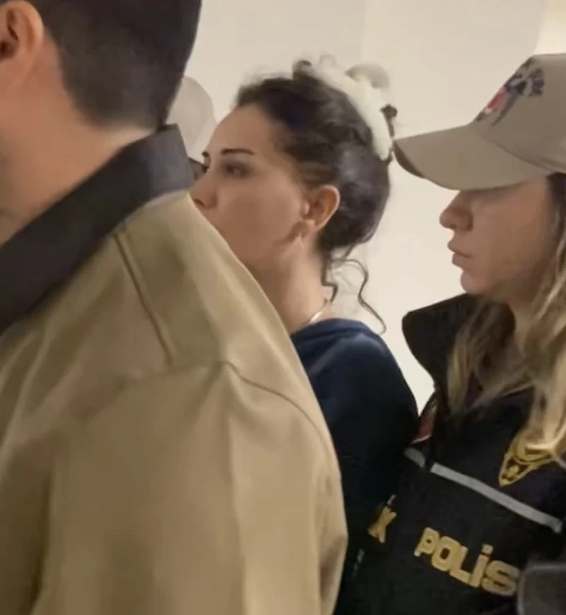 Dilan Polat, Cumhurbaşkanına hakaretten gözaltında