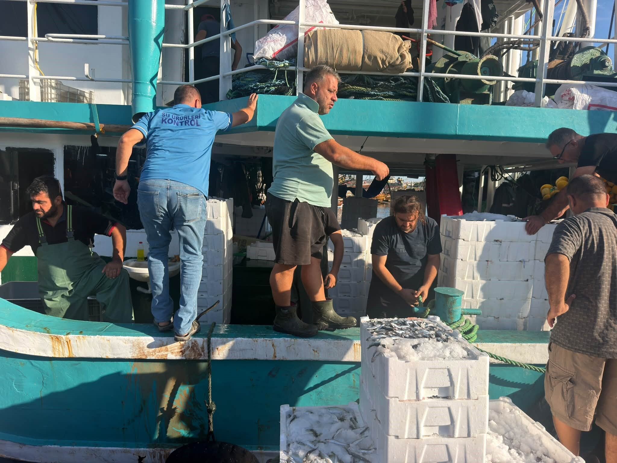 A W785306 01