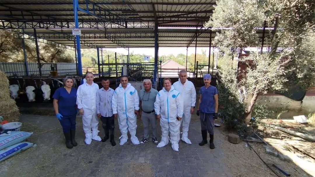 Aydın’da sonbahar şap aşısı kampanyası