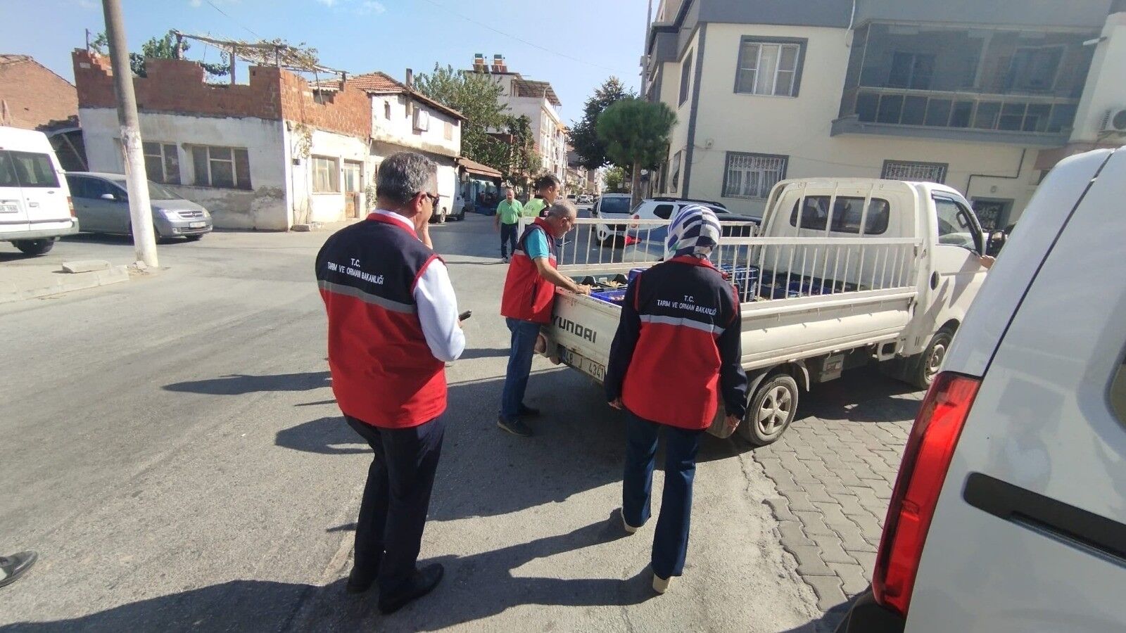 Aydın'da kuru incire sıkı denetim