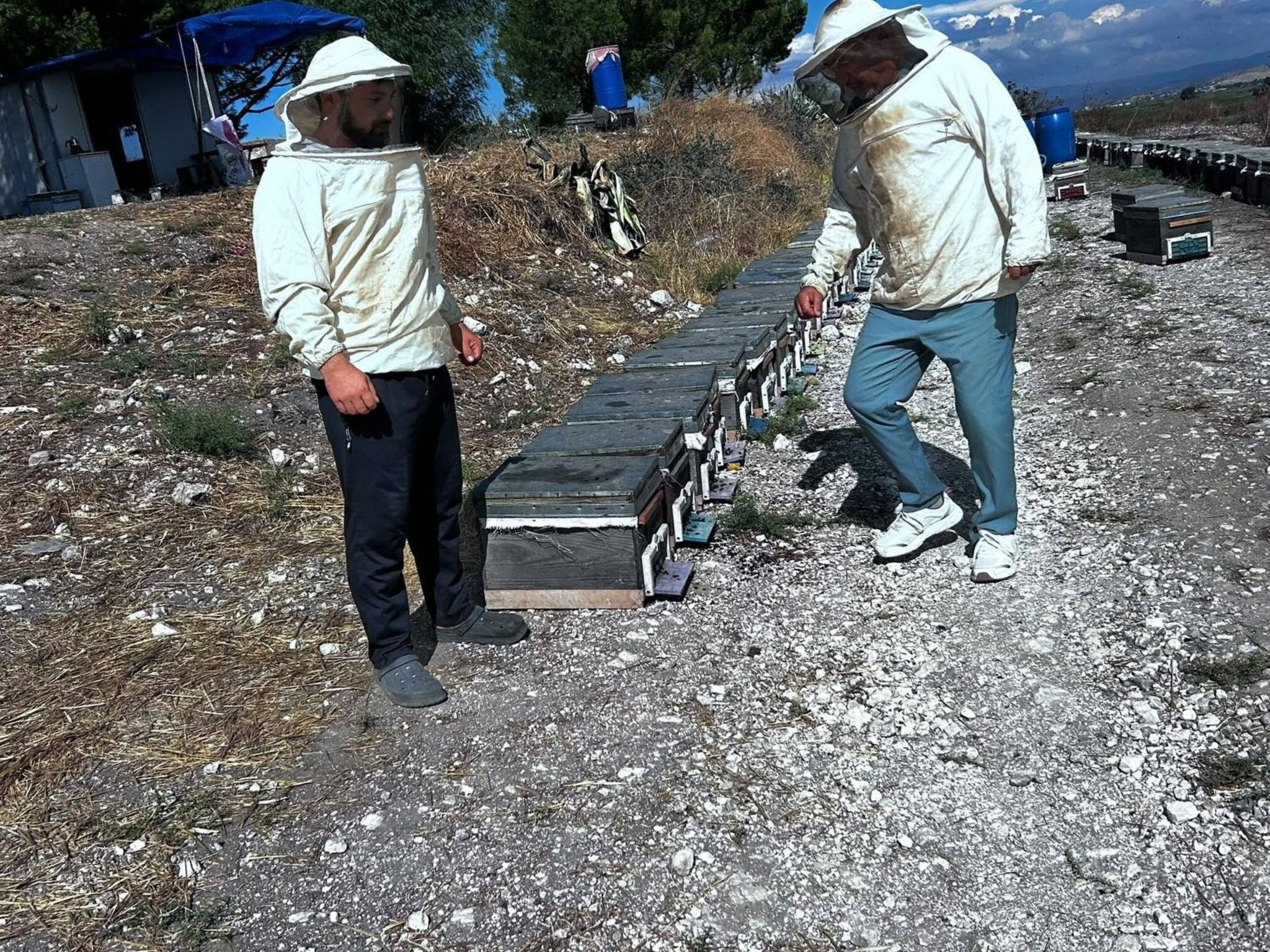 Arıcılığın gelişimi için çalışmalar sürüyor