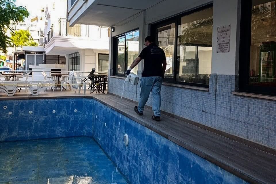 Didim'de haşere avı başladı