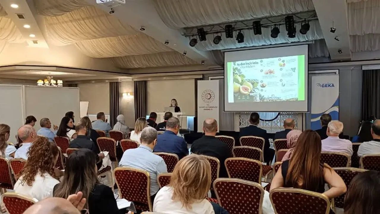 Aydinin Ab Tescilli Incirinin Gelecegi Icin Kritik Zirve Mudurluk Son Iki Yilin Verilerini Paylasti 5
