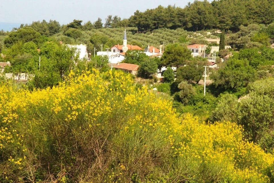 Kusadasi Meclisinden Ges Projesine Kirmizi Kart Caferlide To 691100 0162A4