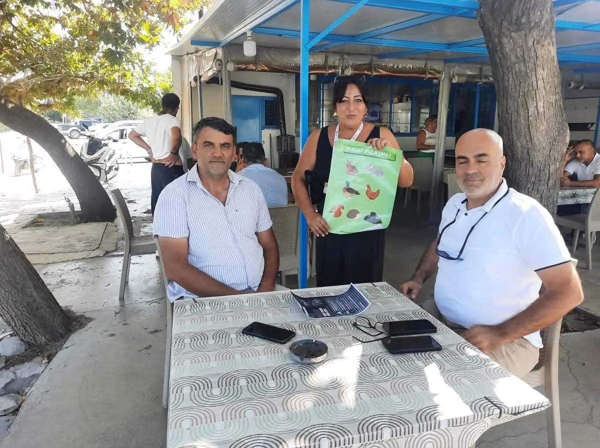 Kuşadası'nda kuduz alarmı!