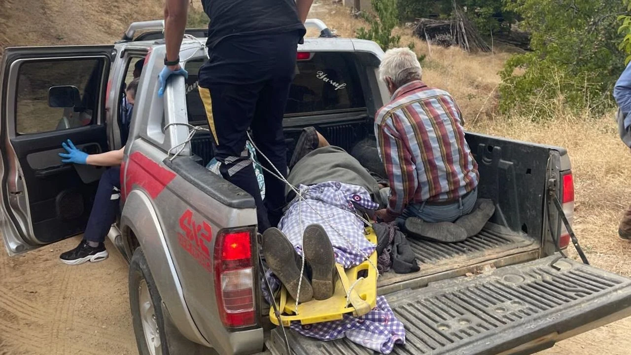 Nazilli'de ceviz hasadı kabusa döndü