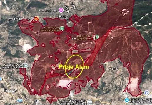 Aydinda 25 Bin Agac Kesilecek Projede Yeni Gelisme 2
