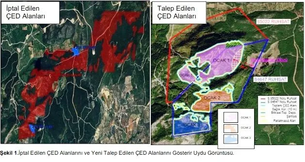 Aydinda 25 Bin Agac Kesilecek Projede Yeni Gelisme 3