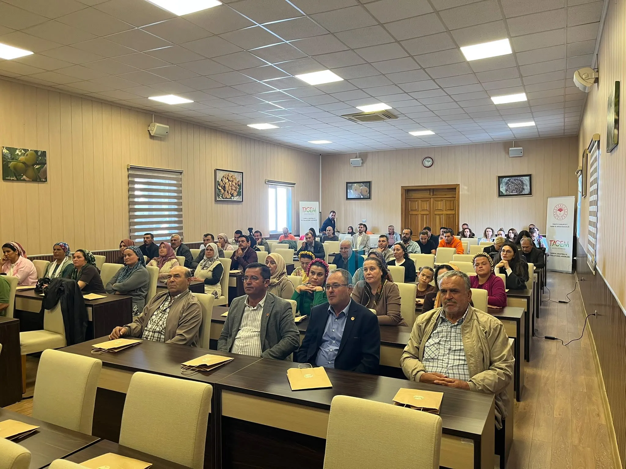 Aydinda Incire Onarici Tarim Ilacsiz Uretim Basladi 2