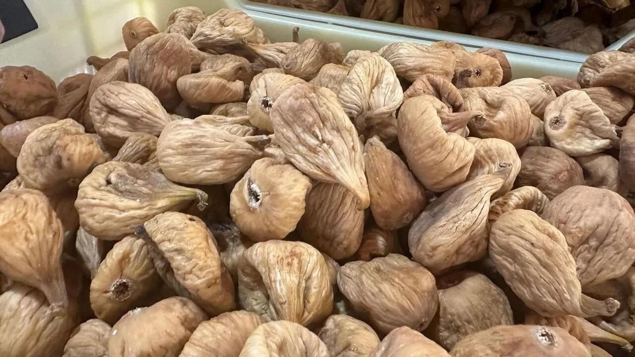 Tariş incir alım fiyatlarını açıkladı