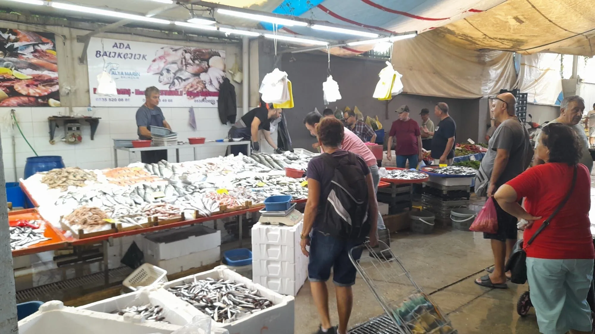 Balik Tezgahlarinda Palamut Bereketi Basladi 696756 1A3812