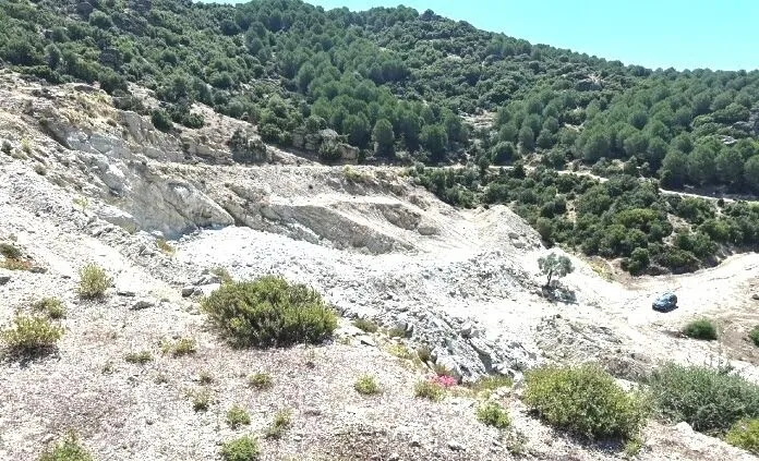 Cinedeki Ormanlik Alana Yeni Maden Tesisi Yolda 4