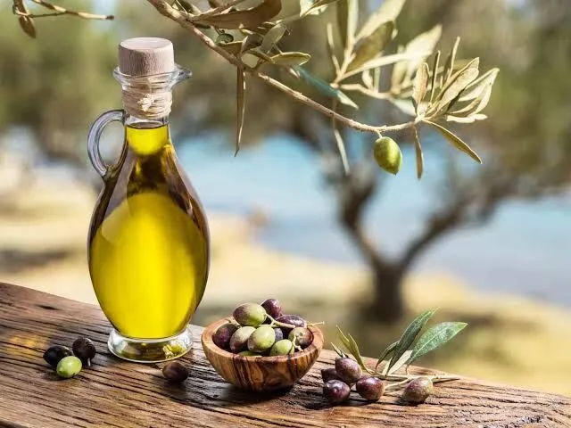 Didimde Zeytin Festivali Icin Geri Sayim Basladi Hedef Guinness Rekoru 3