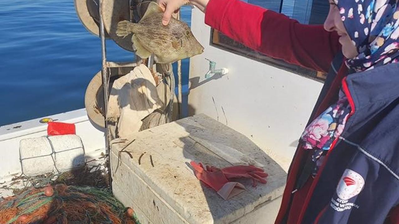 Didim’de su ürünleri kontrolü