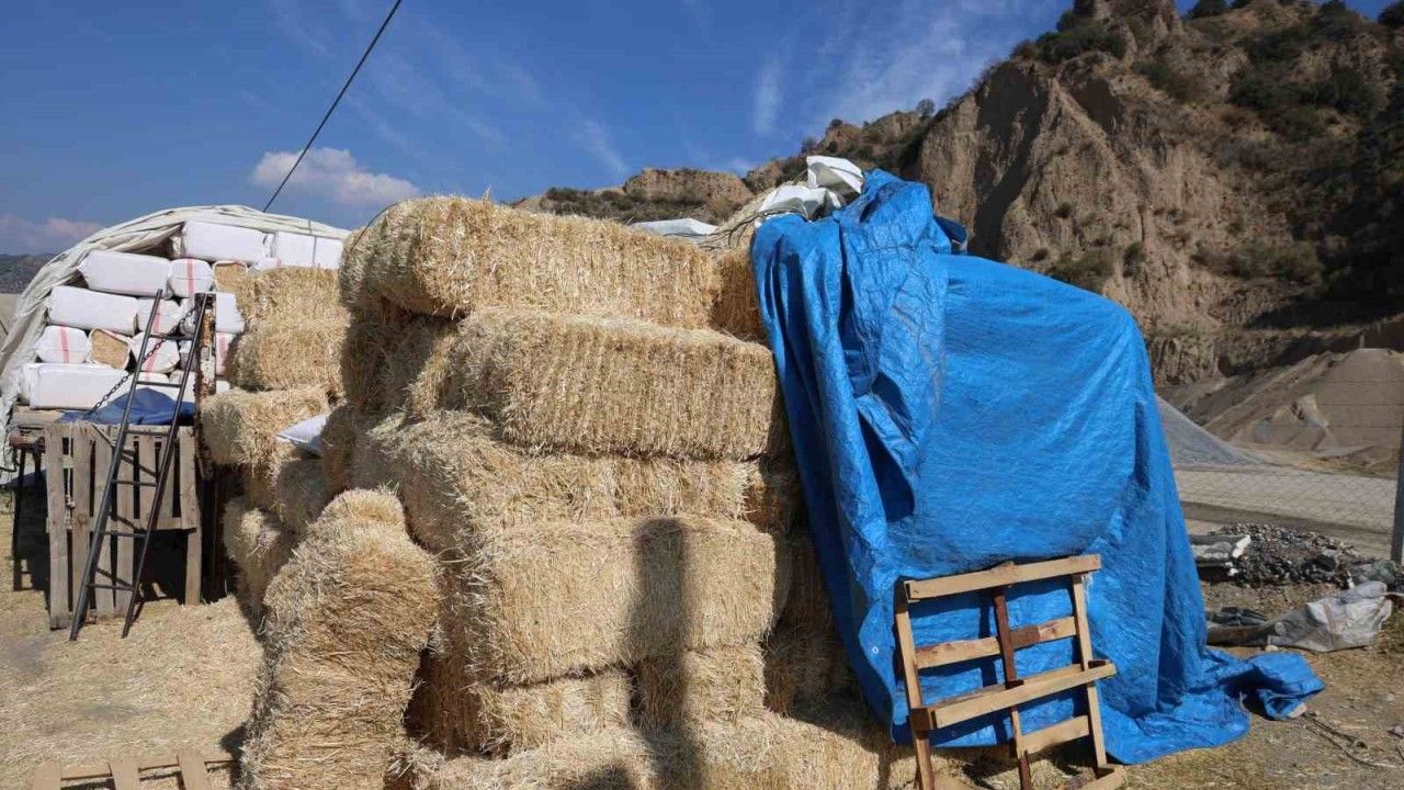 Sürücüler dikkat! Aydın'da saman kazası tehlikesi artıyor