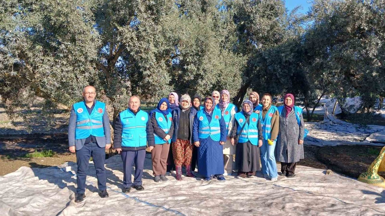 Yatağan'da zeytin hasadı ve bereket duası yapıldı