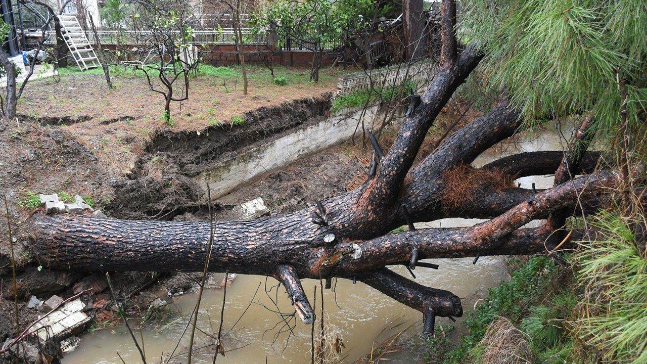 Kuşadası'nda belediye ekipleri seferber oldu