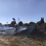 Efeler'de çıkan yangın söndürüldü