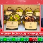 Aydın inciri için 100 milyon liralık kaynak açıklandı