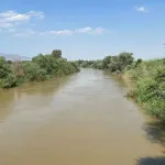 Aydın’da çiftçilere kötü haber