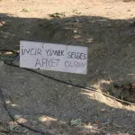 İncir bahçesinde gülümseten not: “İncir yimek selbes”