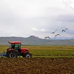 Aydın’da çiftçilere 31 Aralık uyarısı