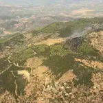 Çine’deki orman yangını kontrol altına alındı