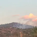 Çine’de ikinci yangın alarmı