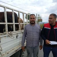 Aydın