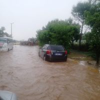Aydın