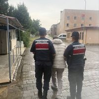 Yaşam