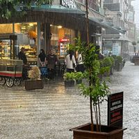 Aydın