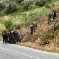 Yaşam